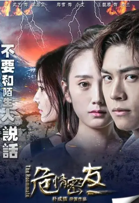 危情密友 海报